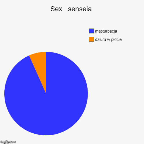 Sex   senseia | dziura w płocie, masturbacja | image tagged in funny,pie charts | made w/ Imgflip chart maker