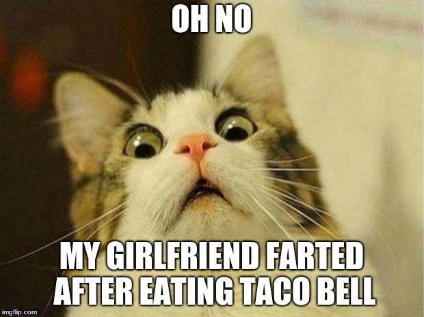 Scared Cat Meme | OH NO; MY GIRLFRIEND FARTED AFTER EATING TACO BELL | image tagged in memes,scared cat | made w/ Imgflip meme maker