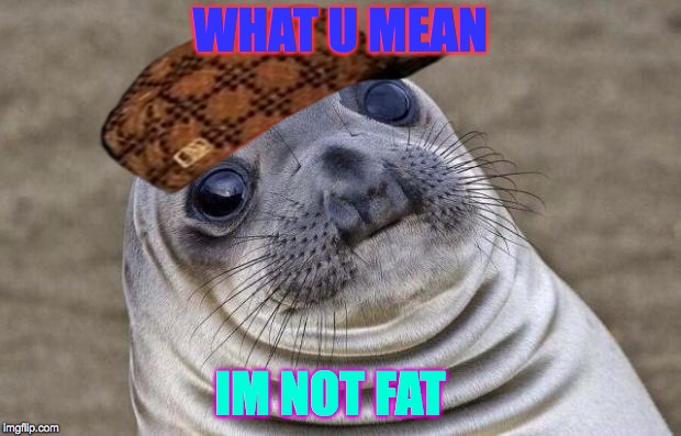 Awkward Moment Sealion Meme | WHAT U MEAN; IM NOT FAT | image tagged in memes,awkward moment sealion,scumbag | made w/ Imgflip meme maker
