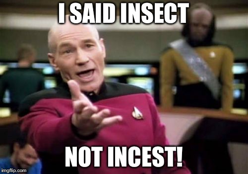 Picard Wtf | I SAID INSECT; NOT INCEST! | image tagged in memes,picard wtf | made w/ Imgflip meme maker