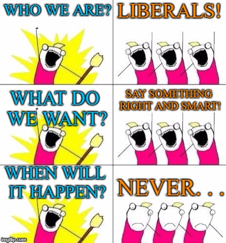 What Do We Want - Bummed Out | LIBERALS! WHO WE ARE? WHAT DO WE WANT? SAY SOMETHING RIGHT AND SMART! WHEN WILL IT HAPPEN? NEVER. . . | image tagged in what do we want - bummed out,what do we want,liberals,never,funny,memes | made w/ Imgflip meme maker