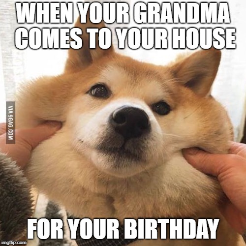That one grandma | WHEN YOUR GRANDMA COMES TO YOUR HOUSE; FOR YOUR BIRTHDAY | image tagged in grandma,dogs | made w/ Imgflip meme maker
