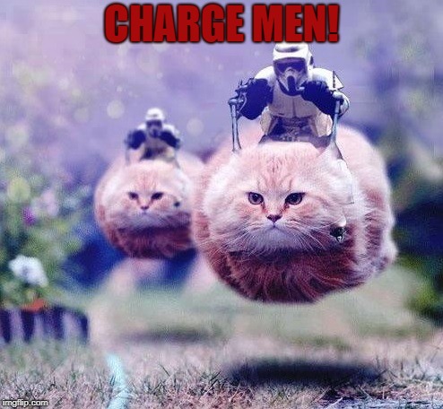 the new star wars vehicles  | CHARGE MEN! | image tagged in star wars,may the 4th,cat,cats | made w/ Imgflip meme maker