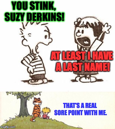 Charlie Brown has a last name. | YOU STINK, SUZY DERKINS! AT LEAST I HAVE A LAST NAME! THAT'S A REAL SORE POINT WITH ME. | image tagged in memes,calvin and hobbes | made w/ Imgflip meme maker