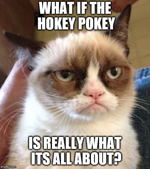 Grumpy Cat Reverse Meme | WHAT IF THE HOKEY POKEY; IS REALLY WHAT ITS ALL ABOUT? | image tagged in memes,grumpy cat reverse,grumpy cat | made w/ Imgflip meme maker
