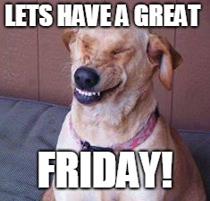 funny dog | LETS HAVE A GREAT; FRIDAY! | image tagged in funny dog | made w/ Imgflip meme maker