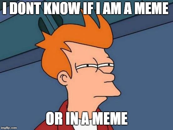 Futurama Fry | I DONT KNOW IF I AM A MEME; OR IN A MEME | image tagged in memes,futurama fry | made w/ Imgflip meme maker