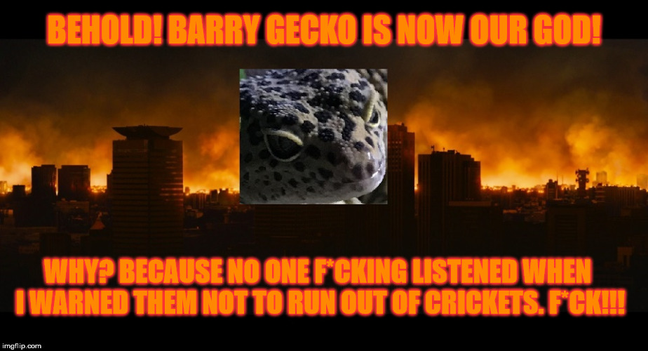 Barry Gecko New God! | BEHOLD! BARRY GECKO IS NOW OUR GOD! WHY? BECAUSE NO ONE F*CKING LISTENED WHEN I WARNED THEM NOT TO RUN OUT OF CRICKETS. F*CK!!! | image tagged in barry gecko leopard gecko god lizard crickets funny gecko pic | made w/ Imgflip meme maker