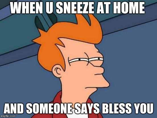 Mr.Fozzil | WHEN U SNEEZE AT HOME; AND SOMEONE SAYS BLESS YOU | image tagged in memes,futurama fry | made w/ Imgflip meme maker