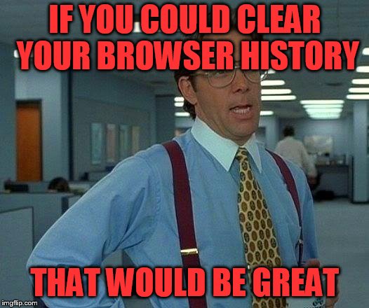 That Would Be Great Meme | IF YOU COULD CLEAR YOUR BROWSER HISTORY THAT WOULD BE GREAT | image tagged in memes,that would be great | made w/ Imgflip meme maker