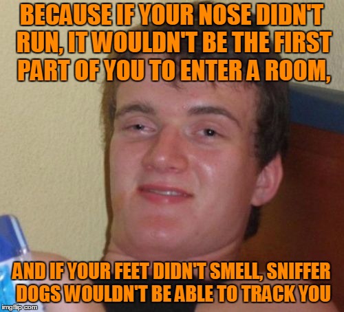 10 Guy Meme | BECAUSE IF YOUR NOSE DIDN'T RUN, IT WOULDN'T BE THE FIRST PART OF YOU TO ENTER A ROOM, AND IF YOUR FEET DIDN'T SMELL, SNIFFER DOGS WOULDN'T  | image tagged in memes,10 guy | made w/ Imgflip meme maker