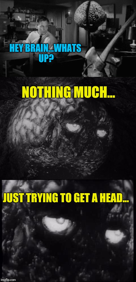 He's a working Brain named Brian | HEY BRAIN...WHATS UP? NOTHING MUCH... JUST TRYING TO GET A HEAD... | image tagged in brian and chuck | made w/ Imgflip meme maker