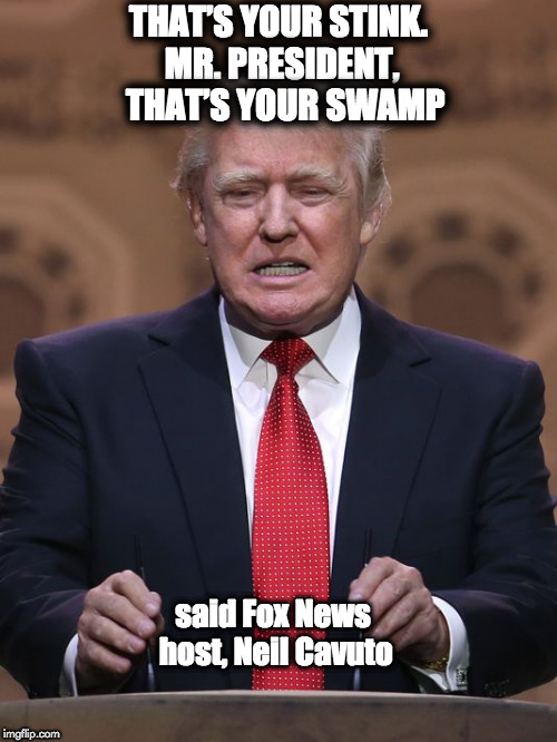 Donald Trump | THAT’S YOUR STINK. MR. PRESIDENT, 
THAT’S YOUR SWAMP; said Fox News host, Neil Cavuto | image tagged in donald trump | made w/ Imgflip meme maker