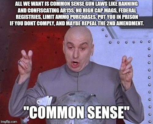 common sense gun control | ALL WE WANT IS COMMON SENSE GUN LAWS LIKE BANNING AND CONFISCATING AR15S, NO HIGH CAP MAGS, FEDERAL REGISTRIES, LIMIT AMMO PURCHASES, PUT YOU IN PRISON IF YOU DONT COMPLY, AND MAYBE REPEAL THE 2ND AMENDMENT. "COMMON SENSE" | image tagged in memes,dr evil laser | made w/ Imgflip meme maker