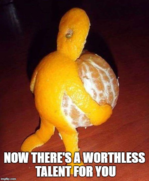 A Worthless Talent | NOW THERE'S A WORTHLESS TALENT FOR YOU | image tagged in worthless,talent | made w/ Imgflip meme maker