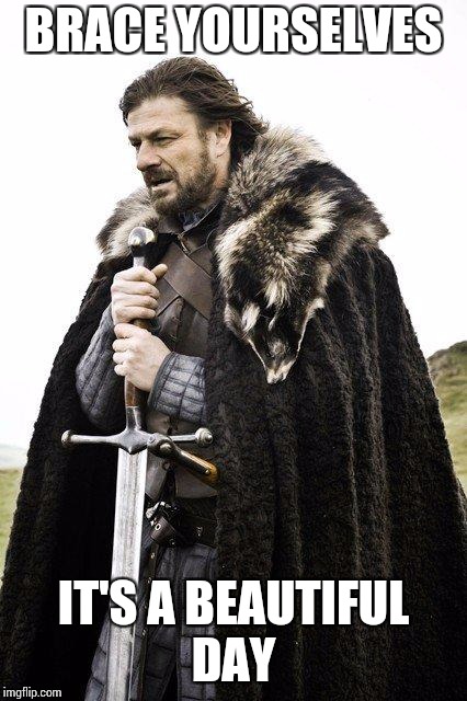 Brace Yourself | BRACE YOURSELVES; IT'S A BEAUTIFUL DAY | image tagged in brace yourself | made w/ Imgflip meme maker