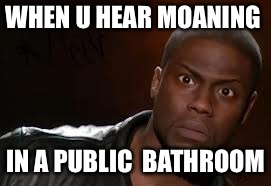 Kevin Hart Meme | WHEN U HEAR MOANING; IN A PUBLIC 
BATHROOM | image tagged in memes,kevin hart the hell | made w/ Imgflip meme maker