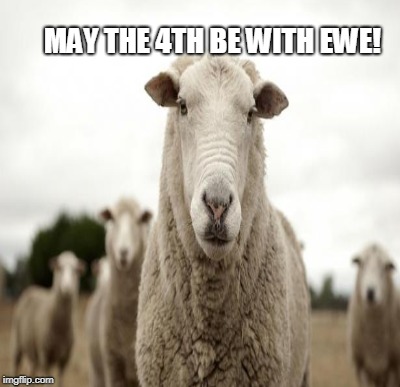 MAY THE 4TH BE WITH EWE! | made w/ Imgflip meme maker