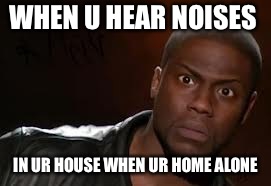 Kevin Hart Meme | WHEN U HEAR NOISES; IN UR HOUSE WHEN UR HOME ALONE | image tagged in memes,kevin hart the hell | made w/ Imgflip meme maker