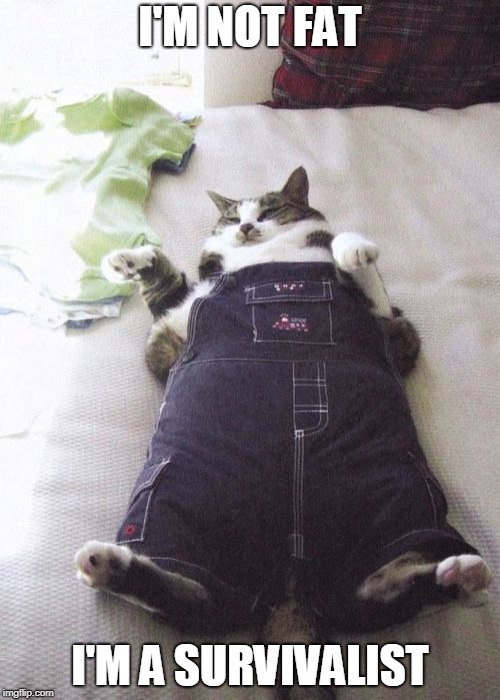 Fat Cat Meme | I'M NOT FAT; I'M A SURVIVALIST | image tagged in memes,fat cat | made w/ Imgflip meme maker
