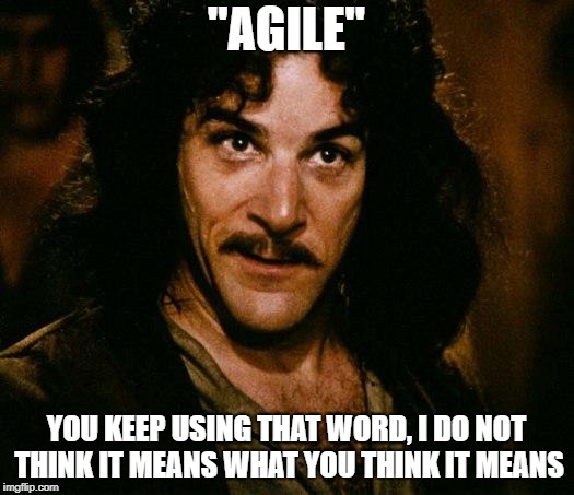Inigo Montoya Meme | "AGILE"; YOU KEEP USING THAT WORD, I DO NOT THINK IT MEANS WHAT YOU THINK IT MEANS | image tagged in memes,inigo montoya | made w/ Imgflip meme maker