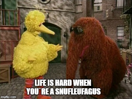 Big Bird And Snuffy Meme | LIFE IS HARD WHEN YOU`RE A SNUFLEUFAGUS | image tagged in memes,big bird and snuffy | made w/ Imgflip meme maker