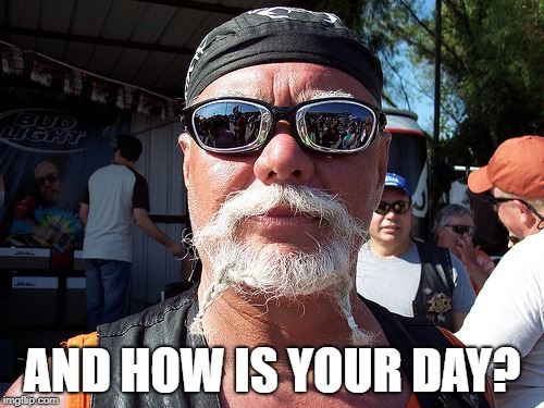 Tough Guy Wanna Be Meme | AND HOW IS YOUR DAY? | image tagged in memes,tough guy wanna be | made w/ Imgflip meme maker