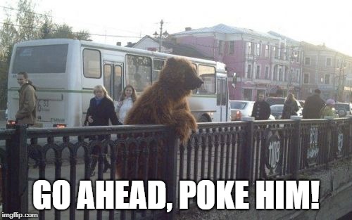 City Bear Meme | GO AHEAD, POKE HIM! | image tagged in memes,city bear | made w/ Imgflip meme maker