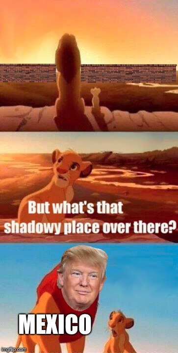 Simba Shadowy Place Meme | MEXICO | image tagged in memes,simba shadowy place | made w/ Imgflip meme maker