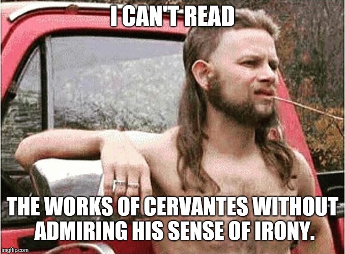 Worldly Redneck | I CAN'T READ; THE WORKS OF CERVANTES WITHOUT ADMIRING HIS SENSE OF IRONY. | image tagged in worldly redneck | made w/ Imgflip meme maker