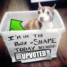 Shame Dog | UPVOTED | image tagged in shame dog | made w/ Imgflip meme maker