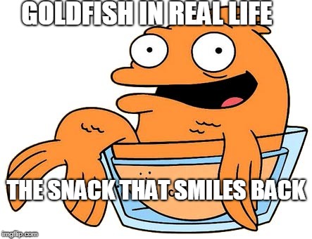 funny goldfish | GOLDFISH IN REAL LIFE; THE SNACK THAT SMILES BACK | image tagged in funny goldfish | made w/ Imgflip meme maker