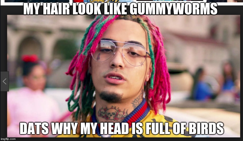 Lil Pump's life | MY HAIR LOOK LIKE GUMMYWORMS; DATS WHY MY HEAD IS FULL OF BIRDS | image tagged in funny memes | made w/ Imgflip meme maker