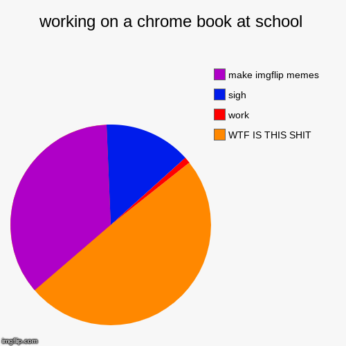 working on a chrome book at school | WTF IS THIS SHIT, work, sigh, make imgflip memes | image tagged in funny,pie charts | made w/ Imgflip chart maker