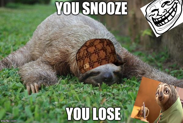 Sleeping sloth | YOU SNOOZE; YOU LOSE | image tagged in sleeping sloth,scumbag | made w/ Imgflip meme maker