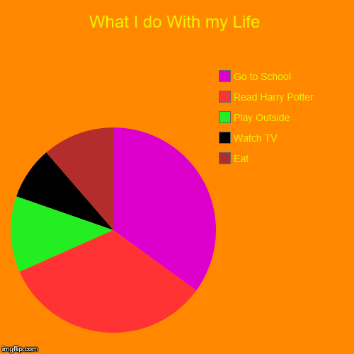 What I do With my Life | Eat, Watch TV, Play Outside, Read Harry Potter, Go to School | image tagged in funny,pie charts | made w/ Imgflip chart maker