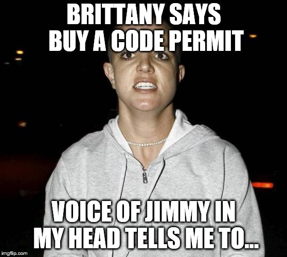 crazy bald britney spears | BRITTANY SAYS BUY A CODE PERMIT; VOICE OF JIMMY IN MY HEAD TELLS ME TO... | image tagged in crazy bald britney spears | made w/ Imgflip meme maker