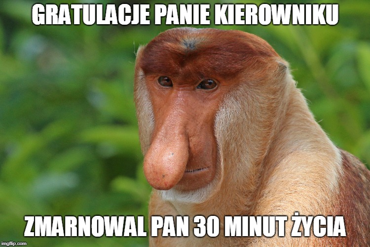 GRATULACJE PANIE KIEROWNIKU; ZMARNOWAL PAN 30 MINUT ŻYCIA | made w/ Imgflip meme maker