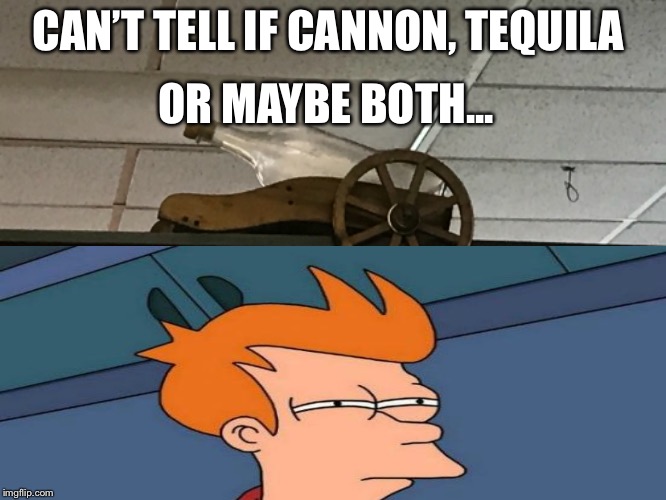 OR MAYBE BOTH... CAN’T TELL IF CANNON, TEQUILA | image tagged in futurama fry | made w/ Imgflip meme maker