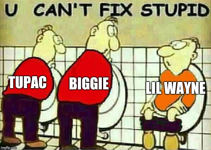 U Can't Fix Stupid | BIGGIE; LIL WAYNE; TUPAC | image tagged in u can't fix stupid | made w/ Imgflip meme maker