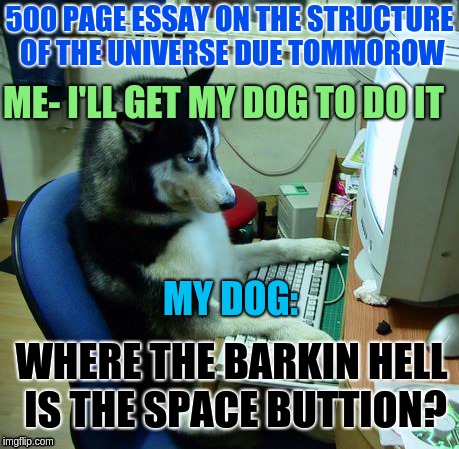 I Have No Idea What I Am Doing Meme | 500 PAGE ESSAY ON THE STRUCTURE OF THE UNIVERSE DUE TOMMOROW; ME- I'LL GET MY DOG TO DO IT; MY DOG:; WHERE THE BARKIN HELL IS THE SPACE BUTTION? | image tagged in memes,i have no idea what i am doing,dog,homework,space,universe | made w/ Imgflip meme maker