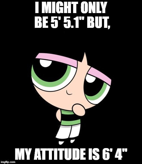 I MIGHT ONLY BE 5' 5.1" BUT, MY ATTITUDE IS 6' 4" | image tagged in innocent buttercup | made w/ Imgflip meme maker