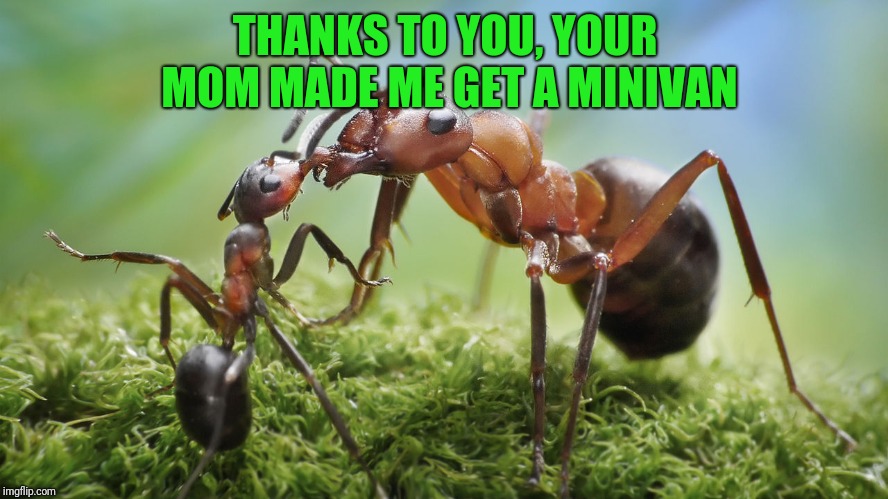 THANKS TO YOU, YOUR MOM MADE ME GET A MINIVAN | made w/ Imgflip meme maker