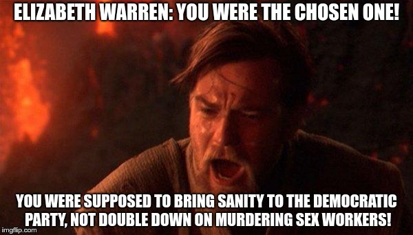 You Were The Chosen One (Star Wars) Meme | ELIZABETH WARREN: YOU WERE THE CHOSEN ONE! YOU WERE SUPPOSED TO BRING SANITY TO THE DEMOCRATIC PARTY, NOT DOUBLE DOWN ON MURDERING SEX WORKERS! | image tagged in memes,you were the chosen one star wars | made w/ Imgflip meme maker