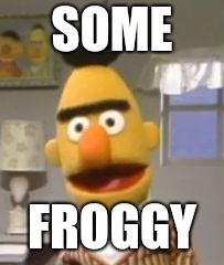 SOME; FROGGY | image tagged in bert | made w/ Imgflip meme maker