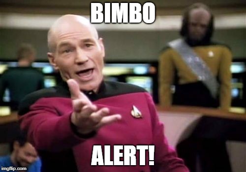 Picard Wtf Meme | BIMBO ALERT! | image tagged in memes,picard wtf | made w/ Imgflip meme maker
