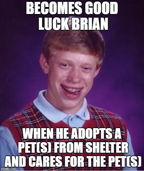 Bad Luck Brian Meme | BECOMES GOOD LUCK BRIAN; WHEN HE ADOPTS A PET(S) FROM SHELTER AND CARES FOR THE PET(S) | image tagged in memes,bad luck brian | made w/ Imgflip meme maker