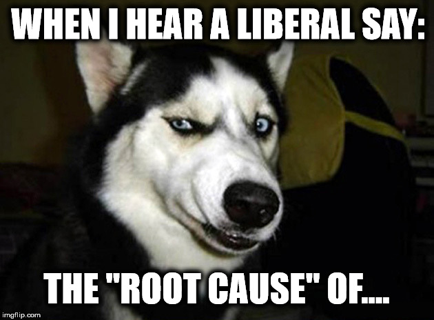 One Dimensional Thinking | WHEN I HEAR A LIBERAL SAY:; THE "ROOT CAUSE" OF.... | image tagged in skeptical dog,liberal logic,stupid liberals | made w/ Imgflip meme maker