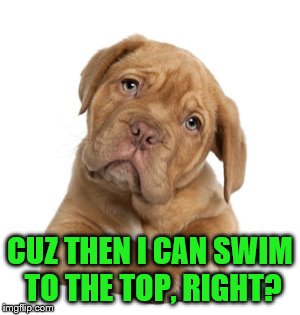 CUZ THEN I CAN SWIM TO THE TOP, RIGHT? | made w/ Imgflip meme maker