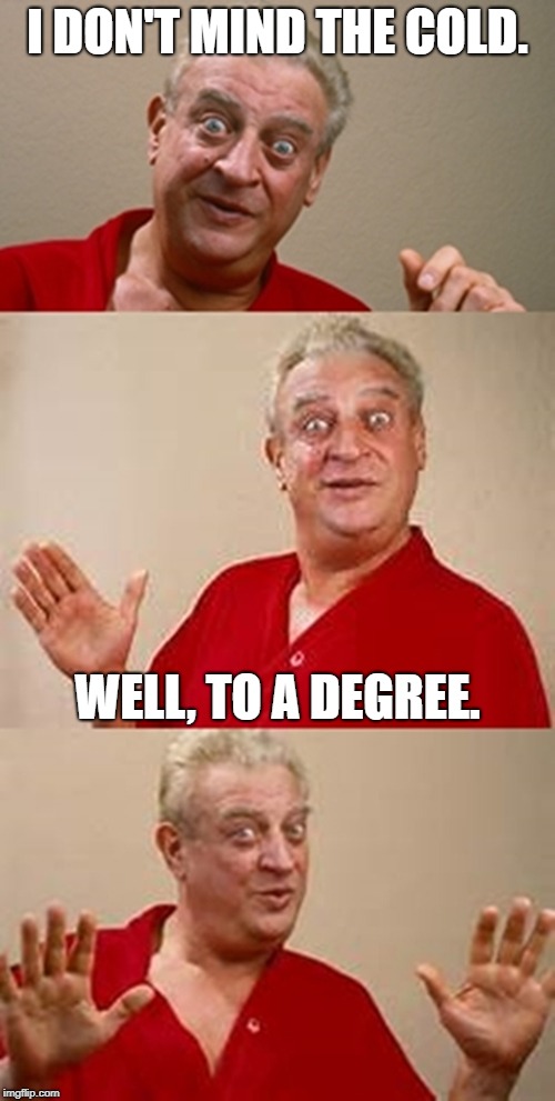 Cool story bro. | I DON'T MIND THE COLD. WELL, TO A DEGREE. | image tagged in bad pun dangerfield,memes,puns,funny | made w/ Imgflip meme maker